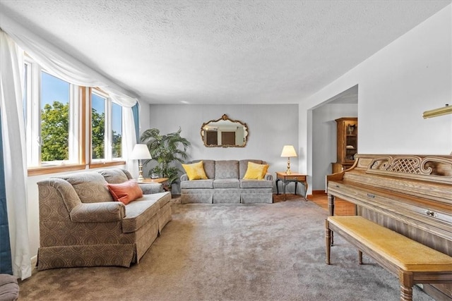 carpeted living room featuring a textured ceiling