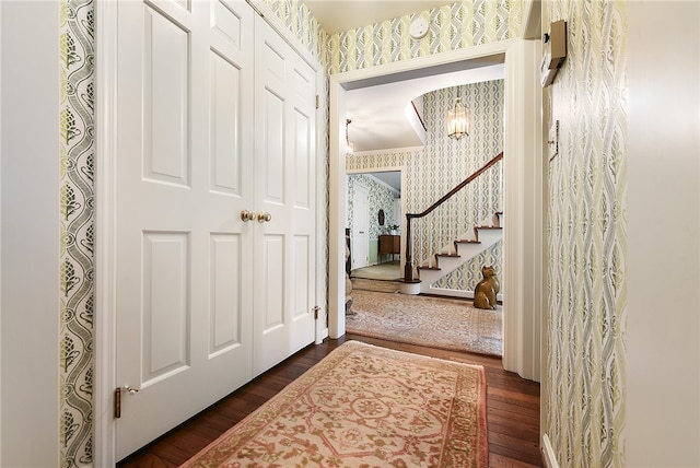 foyer with dark wood-type flooring