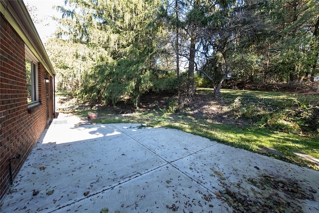 view of yard with a patio