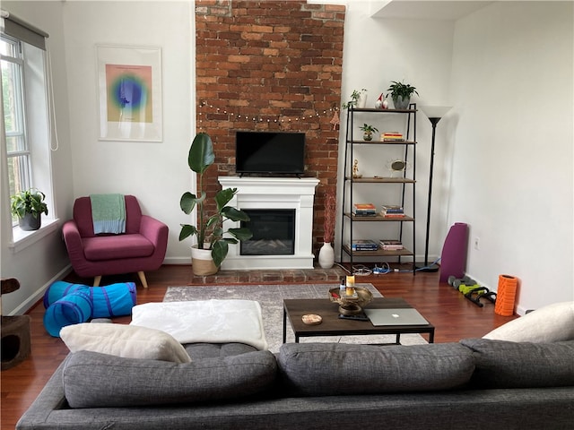 living room with dark hardwood / wood-style flooring