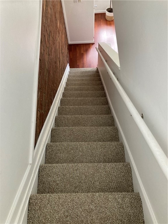 staircase featuring wood walls and carpet floors