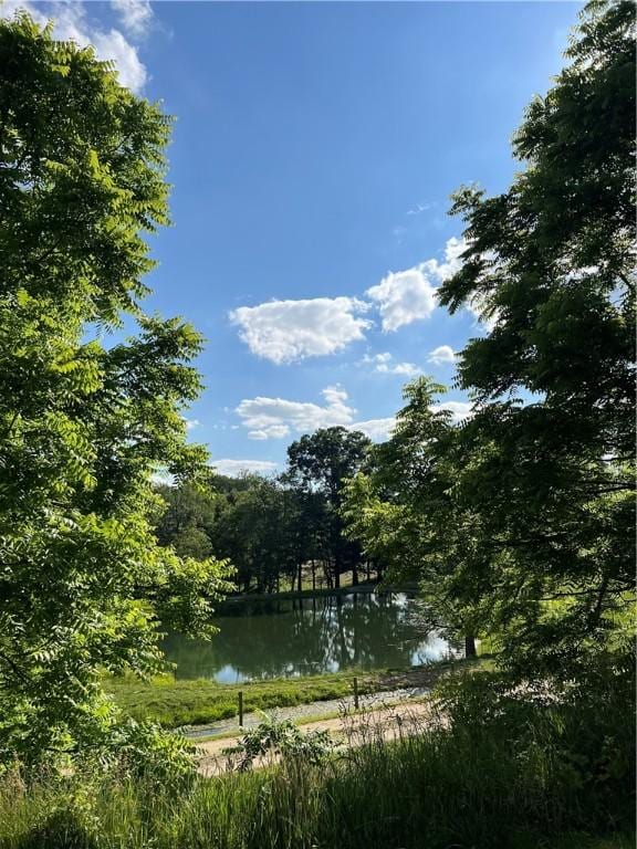 view of water feature