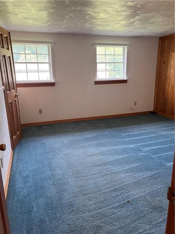 empty room featuring wood walls, dark carpet, and a textured ceiling