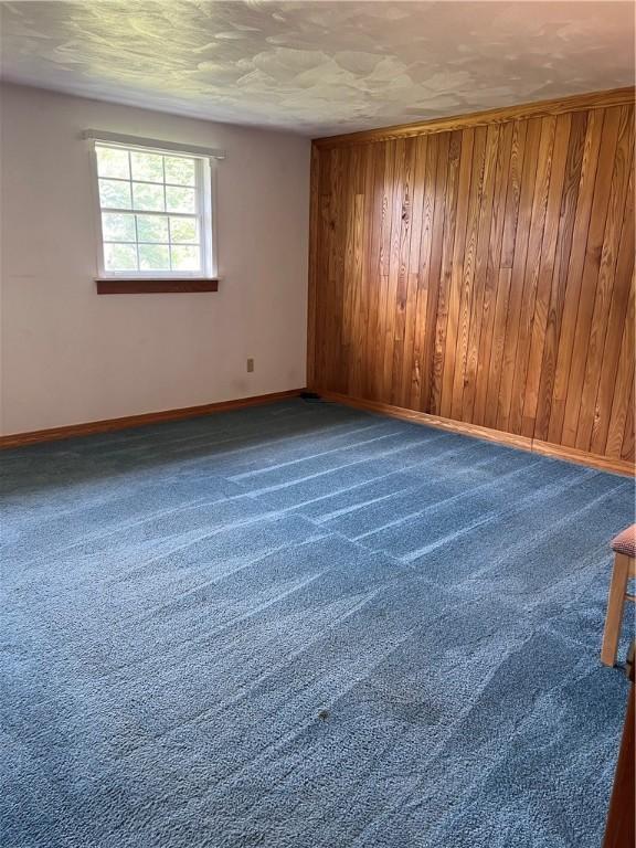 carpeted empty room featuring wood walls and a textured ceiling