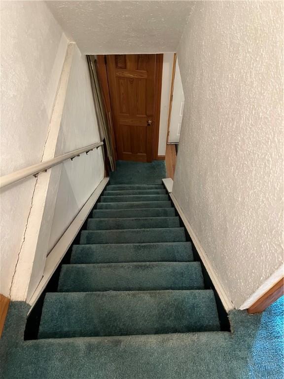 staircase with carpet flooring and a textured ceiling