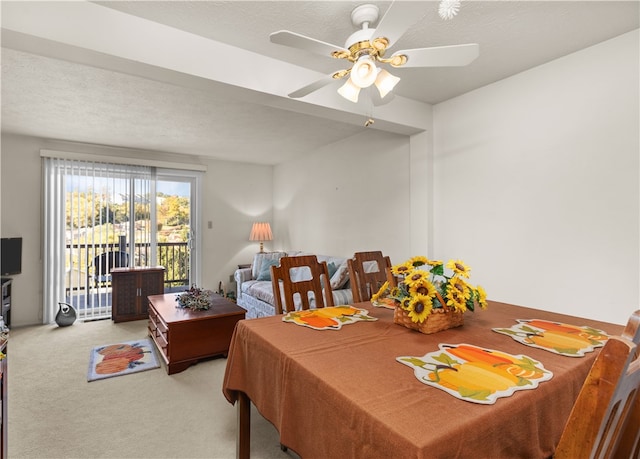 carpeted dining space with ceiling fan and a textured ceiling