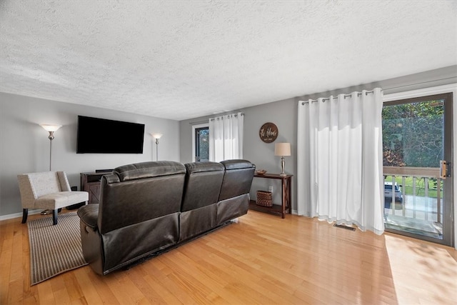 living room with light hardwood / wood-style floors and plenty of natural light