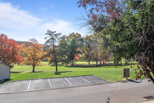 view of home's community featuring a lawn