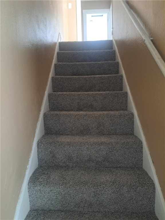 staircase with carpet