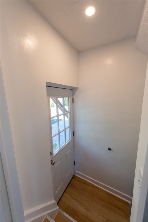 entryway featuring hardwood / wood-style flooring