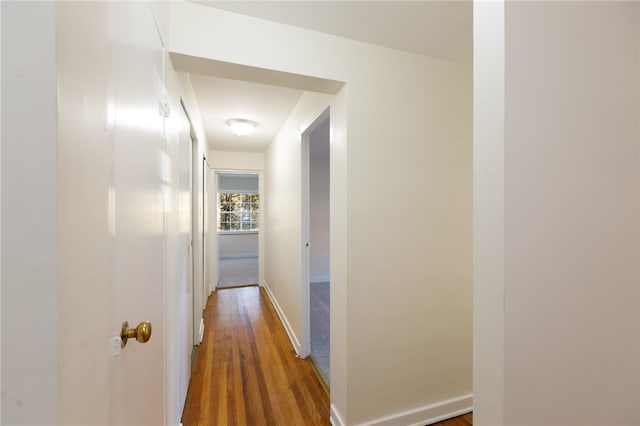 hall with dark hardwood / wood-style floors