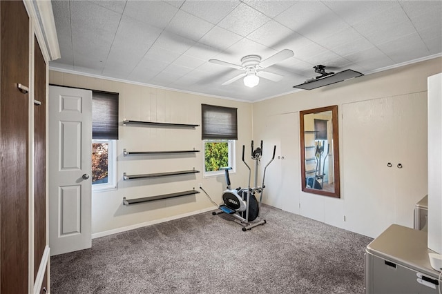 exercise area with crown molding, dark colored carpet, and ceiling fan