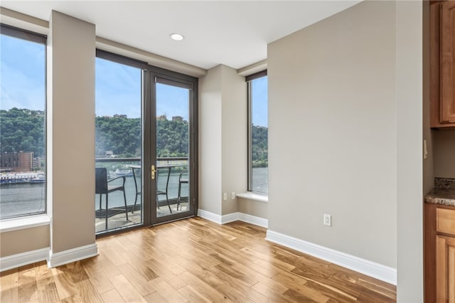 interior space with light hardwood / wood-style floors and a wealth of natural light