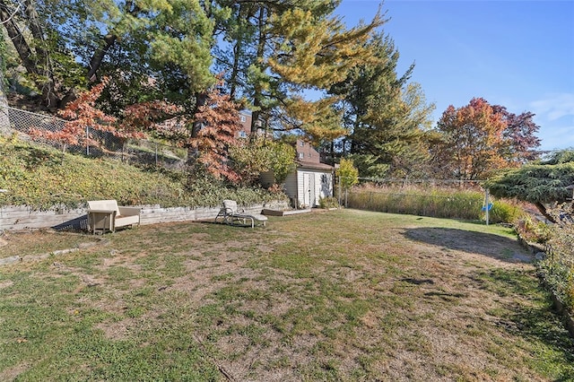 view of yard with a storage shed