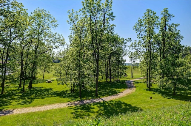 view of community featuring a lawn