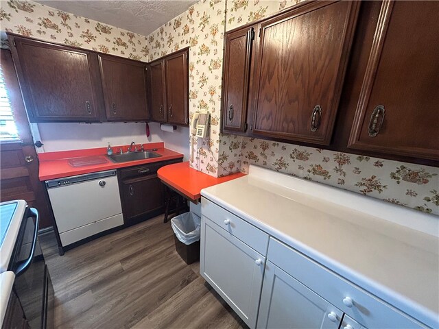 kitchen with dishwasher, dark brown cabinets, sink, stove, and dark hardwood / wood-style flooring