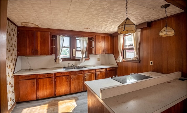 kitchen featuring black electric stovetop, sink, wooden walls, pendant lighting, and light hardwood / wood-style flooring