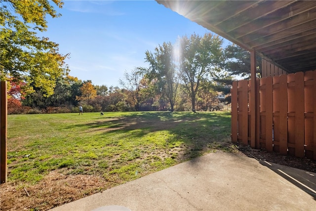 view of yard featuring a patio area