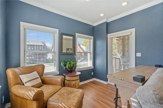 office featuring light hardwood / wood-style floors and ornamental molding