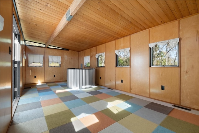 interior space featuring wood ceiling, wood walls, and a healthy amount of sunlight