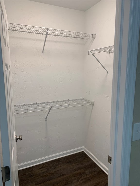 walk in closet with dark wood-type flooring