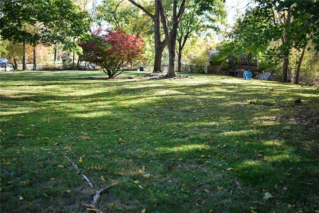 view of yard