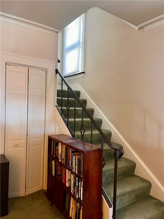 stairway featuring carpet and ornamental molding