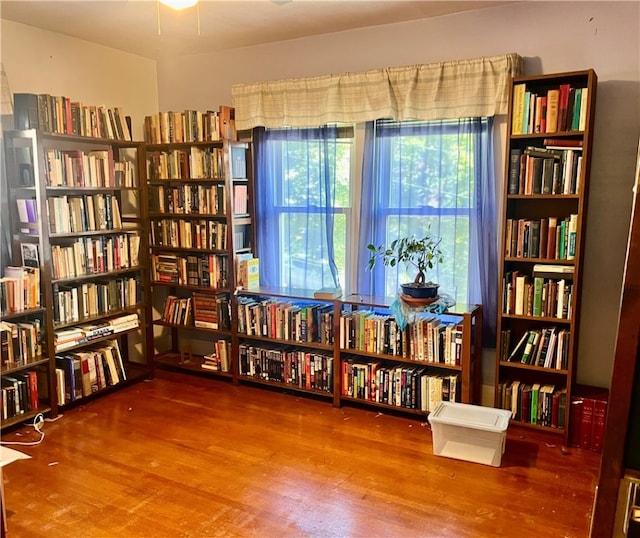 miscellaneous room featuring hardwood / wood-style flooring