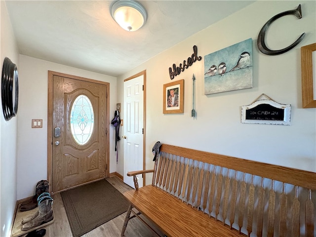 entryway with hardwood / wood-style floors