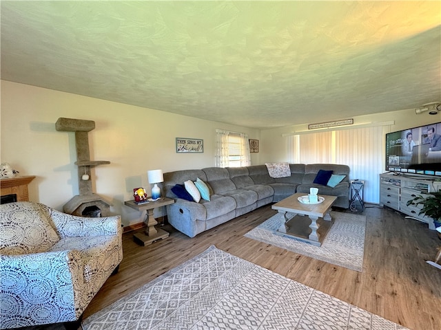 living room with a textured ceiling and wood-type flooring