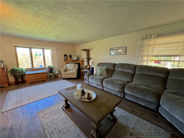 living room with a textured ceiling and wood-type flooring