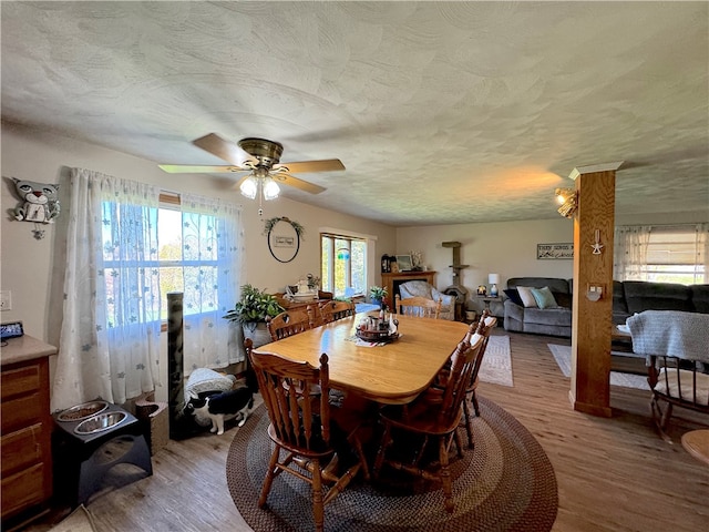 dining area featuring ceiling fan, a textured ceiling, and light wood-type flooring