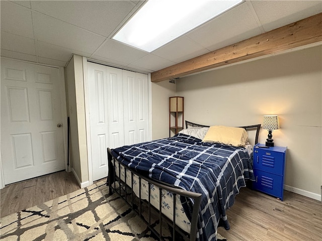 bedroom with a closet, a paneled ceiling, and light wood-type flooring