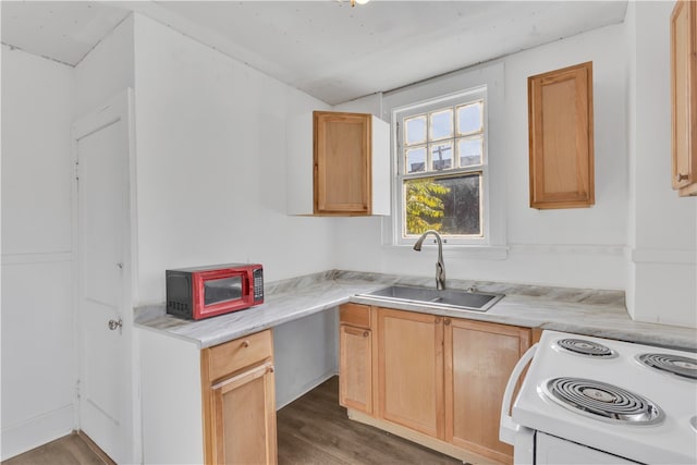 kitchen featuring dark hardwood / wood-style flooring, sink, light brown cabinetry, and white range oven