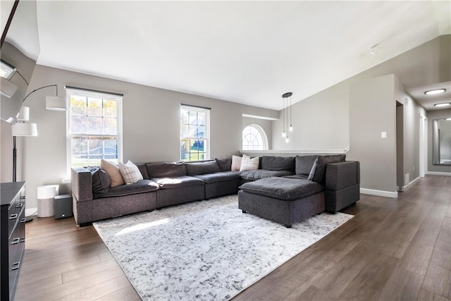 living room with dark hardwood / wood-style floors and vaulted ceiling