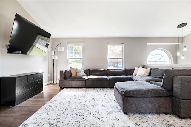 living room with hardwood / wood-style floors