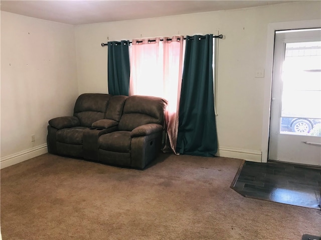 view of carpeted living room