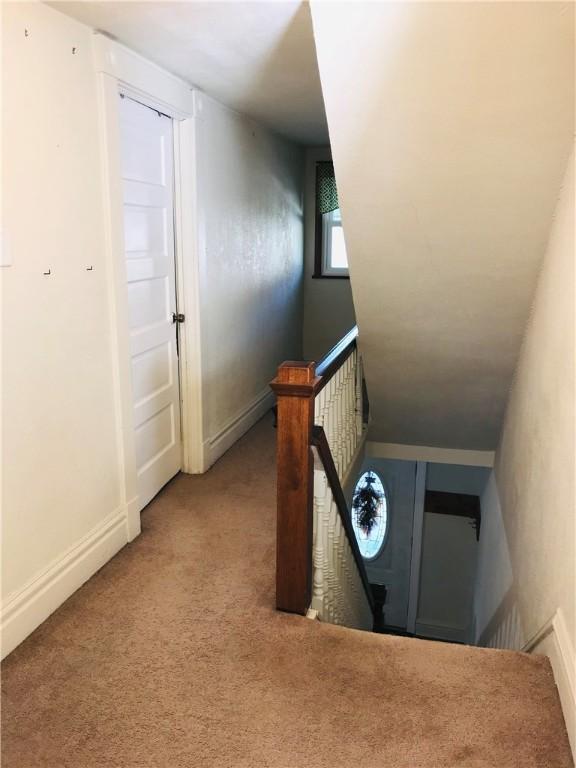 staircase featuring vaulted ceiling and carpet floors