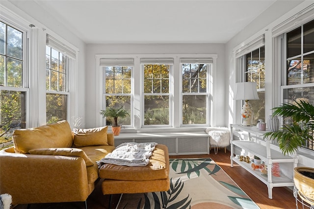 sunroom with a wealth of natural light