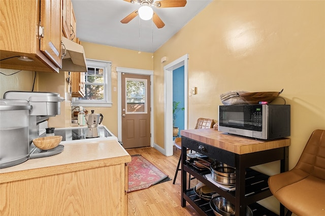 kitchen featuring ceiling fan and light wood-type flooring