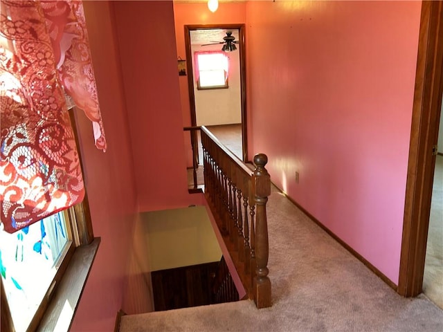 staircase with carpet floors