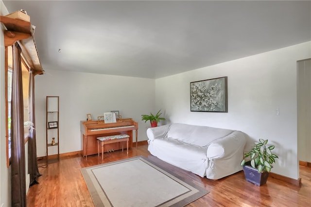 living room featuring hardwood / wood-style flooring