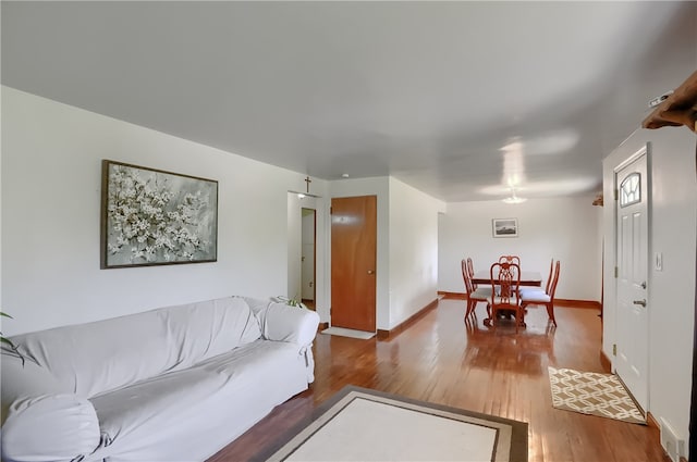 living room featuring hardwood / wood-style flooring