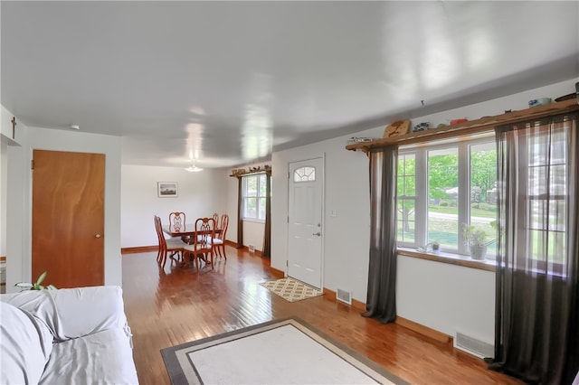 living room with a healthy amount of sunlight and hardwood / wood-style flooring