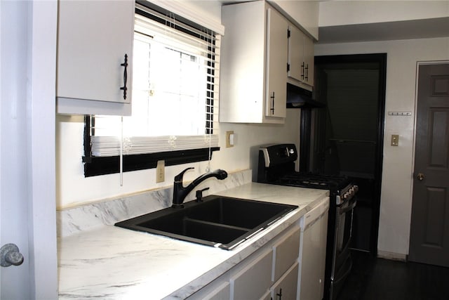 kitchen with sink, dark hardwood / wood-style floors, and stainless steel stove