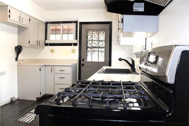 kitchen with white cabinets, sink, exhaust hood, and dark hardwood / wood-style flooring