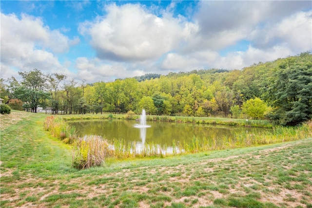 view of water feature