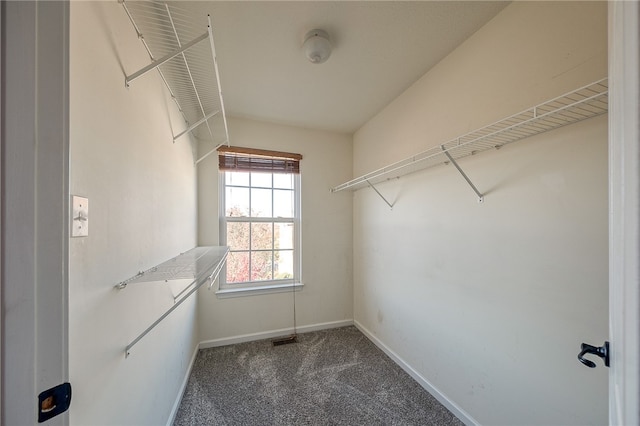 spacious closet with carpet