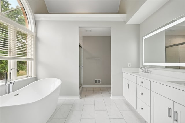 bathroom with vanity and shower with separate bathtub