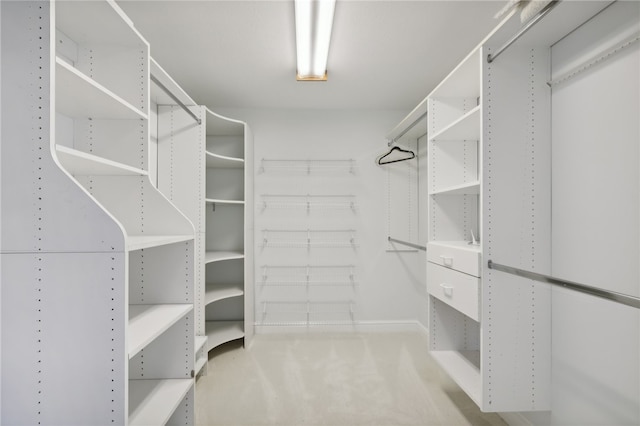 walk in closet featuring carpet flooring